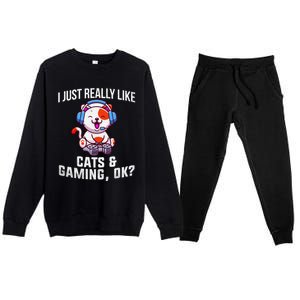 Gamer Gamer Cats And Gaming Cats And Gaming Gift Premium Crewneck Sweatsuit Set