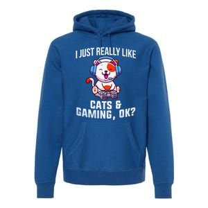 Gamer Gamer Cats And Gaming Cats And Gaming Gift Premium Hoodie