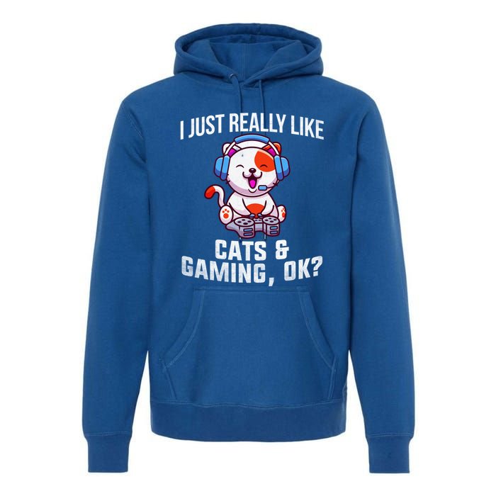 Gamer Gamer Cats And Gaming Cats And Gaming Gift Premium Hoodie