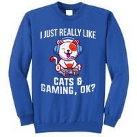 Gamer Gamer Cats And Gaming Cats And Gaming Gift Tall Sweatshirt