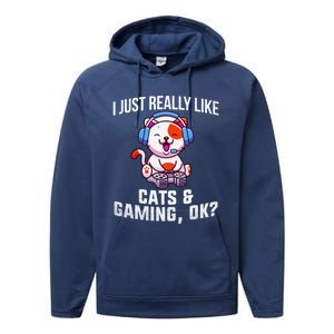 Gamer Gamer Cats And Gaming Cats And Gaming Gift Performance Fleece Hoodie