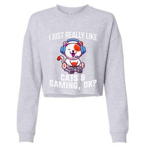 Gamer Gamer Cats And Gaming Cats And Gaming Gift Cropped Pullover Crew