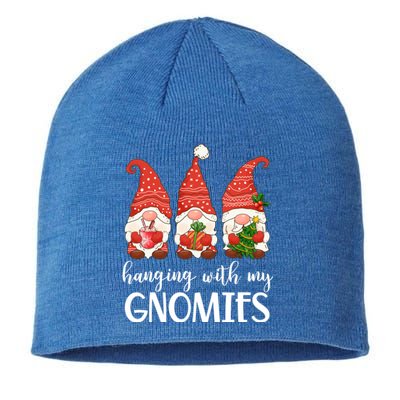 Garden Gnome Christmas Hanging With My Gnomies Gift Sustainable Beanie