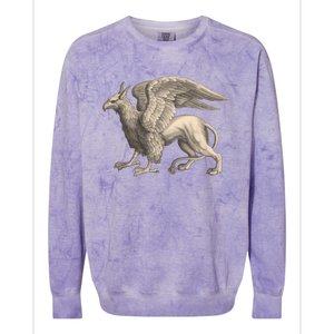 Griffin Gift Eagle Lion Medieval Bird Mythical Creature Gift Colorblast Crewneck Sweatshirt