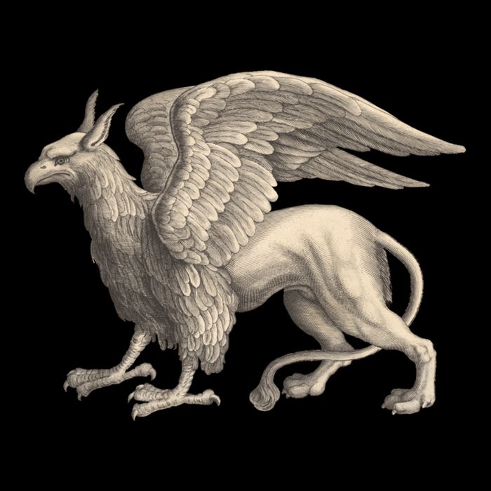 Griffin Gift Eagle Lion Medieval Bird Mythical Creature Gift Cooling Performance Crew T-Shirt