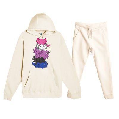 Genderfluid Gender fluid Pride LGBTQ Axolotl Animal Premium Hooded Sweatsuit Set