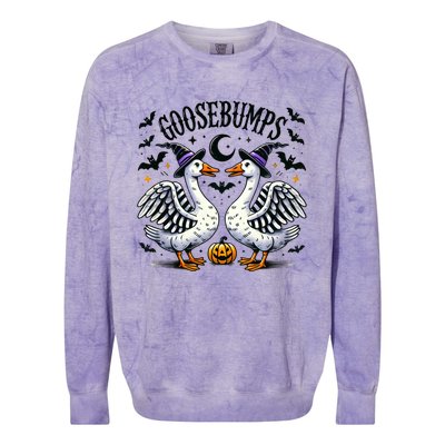 Goosebumps Geese Funny Halloween Witches Hat Colorblast Crewneck Sweatshirt