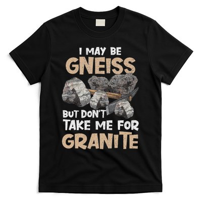 Geologist Gift Funny Geology Rock Science Earth Gneiss Pun T-Shirt