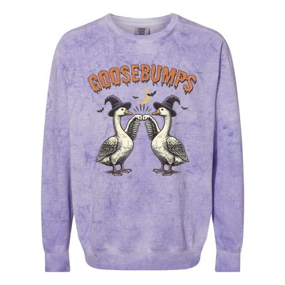 Goosebumps Geese Funny Halloween Witches Hat Colorblast Crewneck Sweatshirt