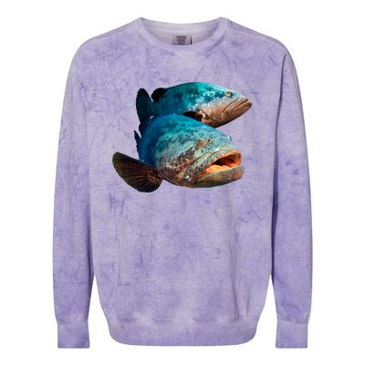 Goliath Grouper Fish Colorblast Crewneck Sweatshirt