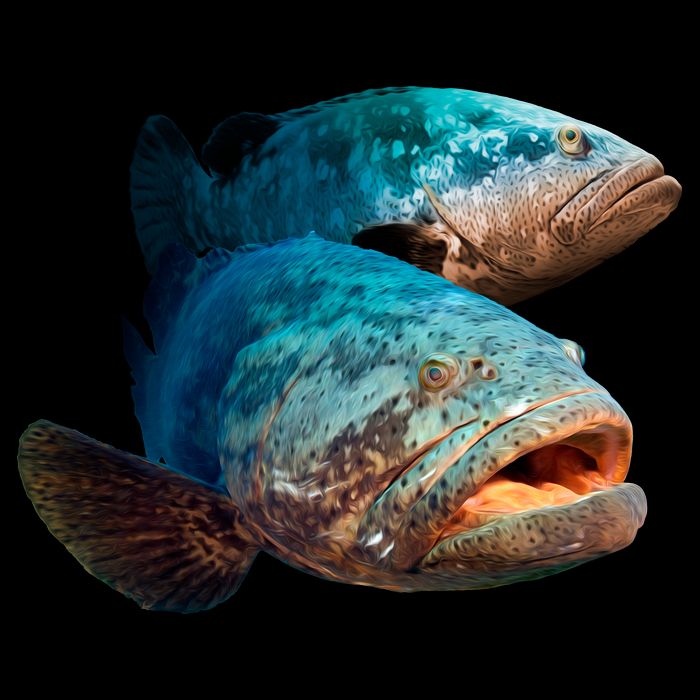 Goliath Grouper Fish Sustainable Bucket Hat