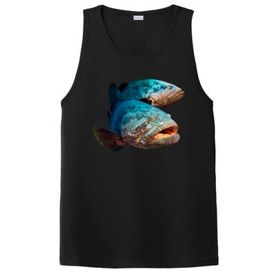 Goliath Grouper Fish PosiCharge Competitor Tank