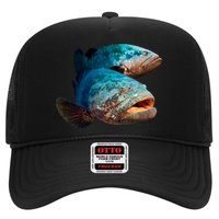 Goliath Grouper Fish Hat