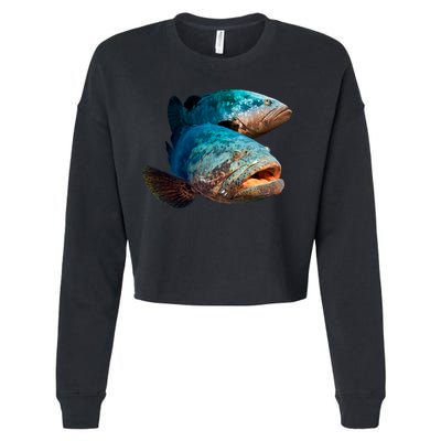 Goliath Grouper Fish Cropped Pullover Crew