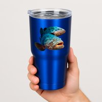 Goliath Grouper Fish Tumbler