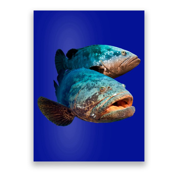 Goliath Grouper Fish Poster