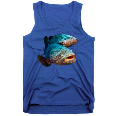 Goliath Grouper Fish Tank Top