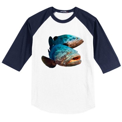 Goliath Grouper Fish Baseball Sleeve Shirt