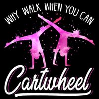Gymnast Gift For Girls Why Walk When You Can Cartwheel Stripe Pom Pom Beanie