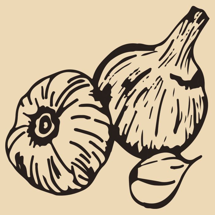 Garlic Garden Gift Drawstring Bag