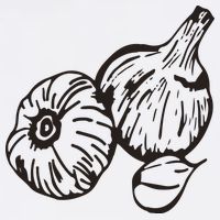 Garlic Garden Gift Women's Crop Top Tee