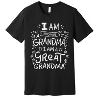 Great Grandma Grandmother Mother's Day Funny Gift Premium T-Shirt