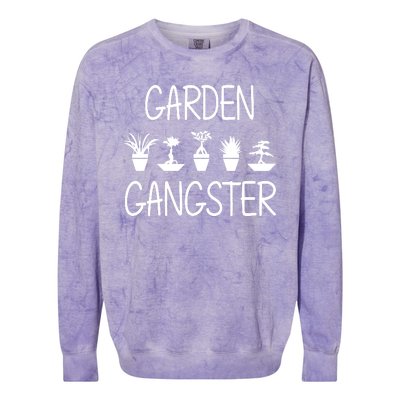 Garden Gangster Colorblast Crewneck Sweatshirt