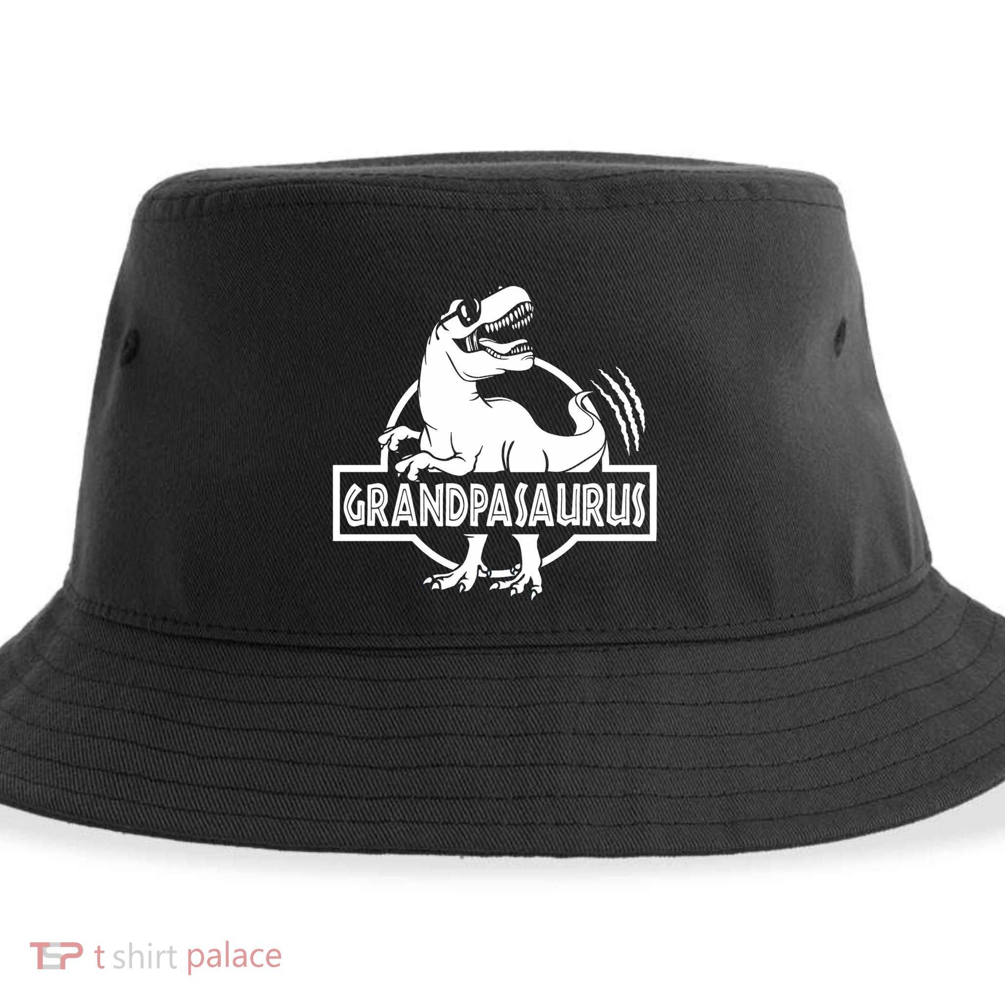 Grandpasaurus Grandfather Grandpa Pop Pop Trex Dinosaur Sweat Sustainable Bucket Hat