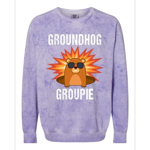 Groundhog Groupie Groundhog Day Party Colorblast Crewneck Sweatshirt