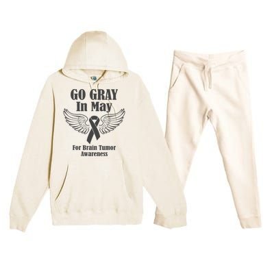 Go Gray In May Brain Tumor Awareness Cancer Hope Gray Ribbon Premium Hooded Sweatsuit Set