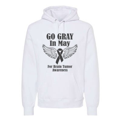 Go Gray In May Brain Tumor Awareness Cancer Hope Gray Ribbon Premium Hoodie