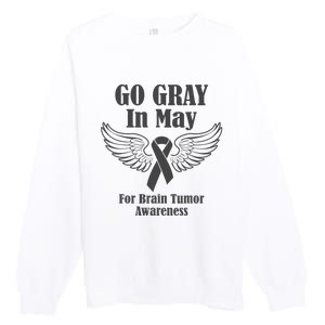 Go Gray In May Brain Tumor Awareness Cancer Hope Gray Ribbon Premium Crewneck Sweatshirt