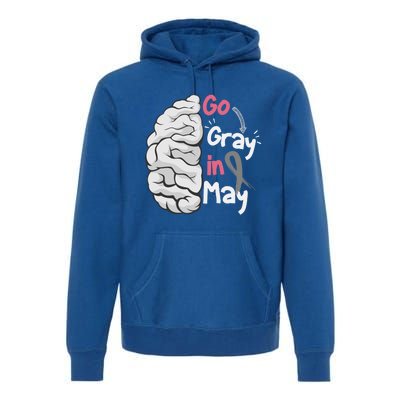 Go Gray In May Brain Cancer Awareness Grey Ribbon Sunflower Meaningful Gift Premium Hoodie