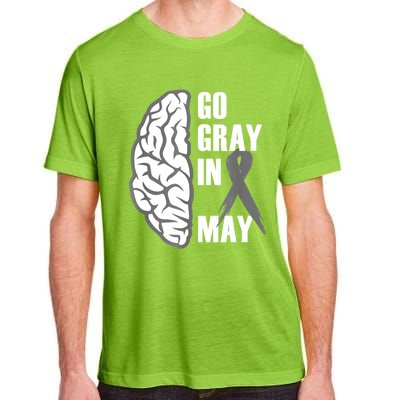 Go Gray In May Brain Cancer Awareness Gift Adult ChromaSoft Performance T-Shirt