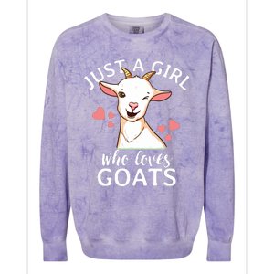 Goat Girl Just A Girl Who Loves Goats Farmer Goat Mom Colorblast Crewneck Sweatshirt