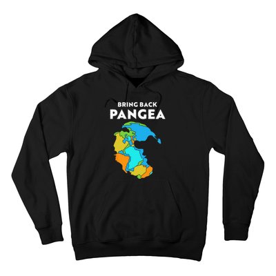 Geography Gift Kids Men Women Geology Reunite Pangea Hoodie