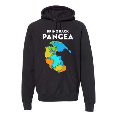 Geography Gift Kids Men Women Geology Reunite Pangea Premium Hoodie