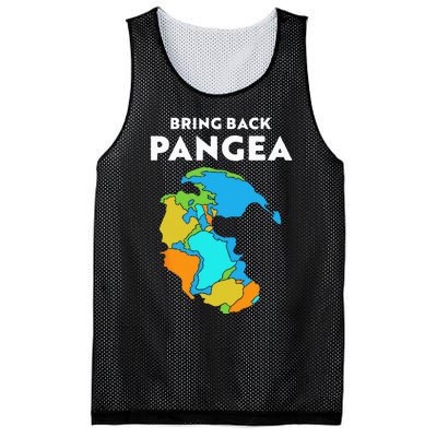 Geography Gift Kids Men Women Geology Reunite Pangea Mesh Reversible Basketball Jersey Tank