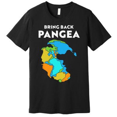 Geography Gift Kids Men Women Geology Reunite Pangea Premium T-Shirt