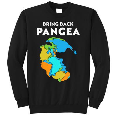 Geography Gift Kids Men Women Geology Reunite Pangea Tall Sweatshirt