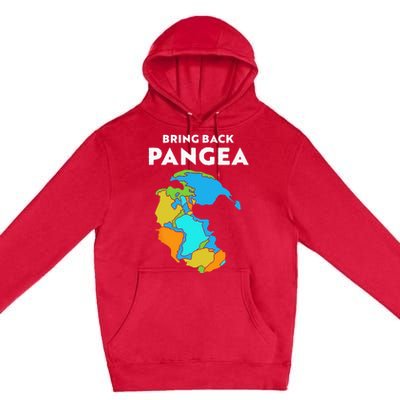 Geography Gift Kids Men Women Geology Reunite Pangea Premium Pullover Hoodie