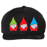 Garden Gnome Lover Cute Garden Gnomes Premium Wool Snapback Cap