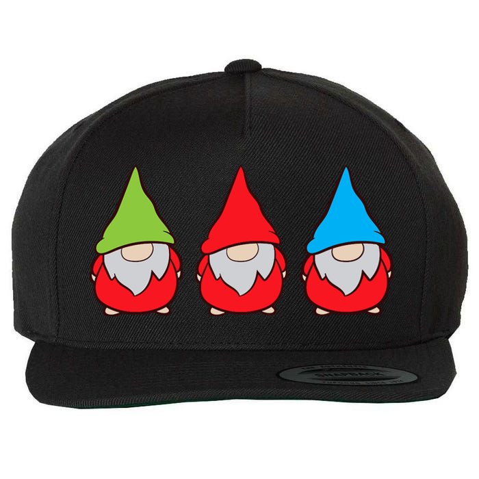 Garden Gnome Lover Cute Garden Gnomes Premium Wool Snapback Cap