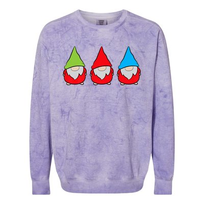 Garden Gnome Lover Cute Garden Gnomes Colorblast Crewneck Sweatshirt