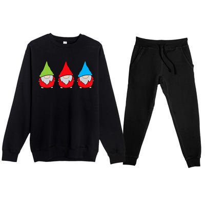 Garden Gnome Lover Cute Garden Gnomes Premium Crewneck Sweatsuit Set