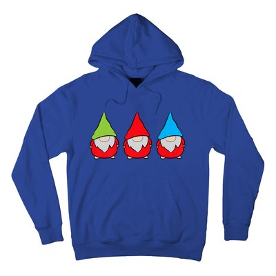 Garden Gnome Lover Cute Garden Gnomes Hoodie