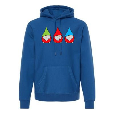 Garden Gnome Lover Cute Garden Gnomes Premium Hoodie