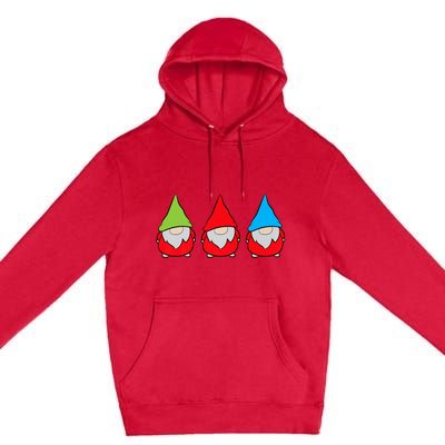 Garden Gnome Lover Cute Garden Gnomes Premium Pullover Hoodie