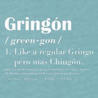 Gringon Greengon Like A Regular Gringo Pero Mas Chingon Sueded Cloud Jersey T-Shirt