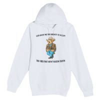 God Grant Me The Serenity To Accept The Vibes Premium Pullover Hoodie